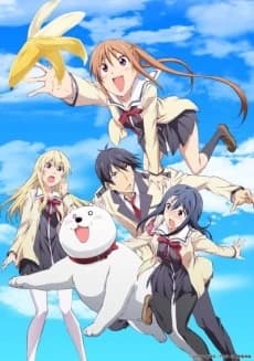 Aho Girl kapak görseli