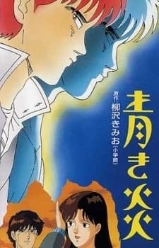 Aoki Honoo kapak görseli