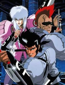 Cyber City Oedo 808 kapak görseli