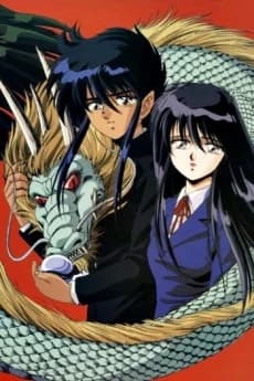 Dragon Fist kapak görseli