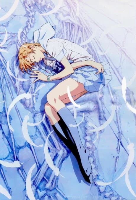 Escaflowne kapak görseli