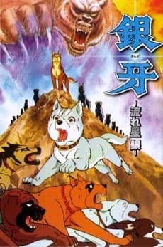 Ginga Nagareboshi Gin kapak görseli