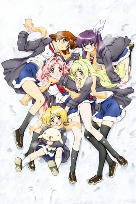 Girls Bravo Second Season kapak görseli