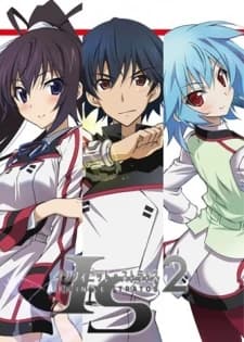 Is Infinite Stratos 2 kapak görseli
