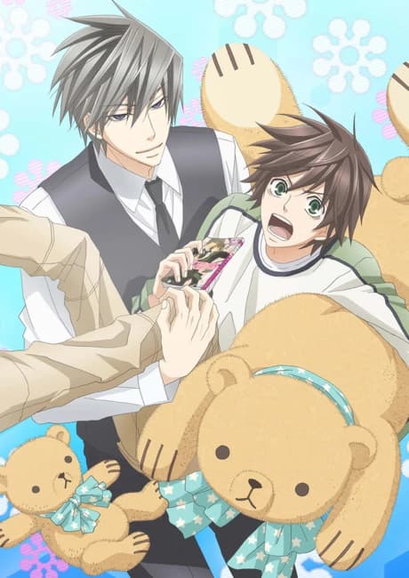 Junjou Romantica 3 kapak görseli