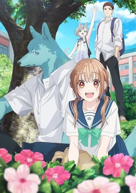 Kimi To Koete Koi Ni Naru kapak görseli