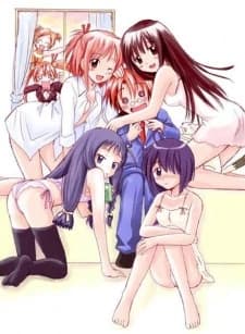 Mahou Sensei Negima Introduction Film kapak görseli