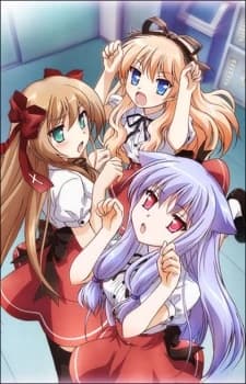 Mayoi Neko Overrun kapak görseli