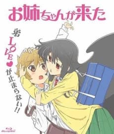 Oneechan Ga Kita kapak görseli