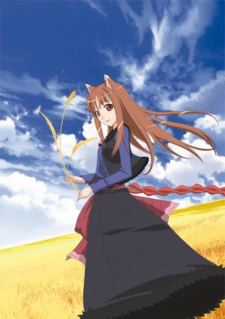 Ookami To Koushinryou kapak görseli
