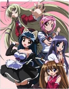 Penguin Musume Heart kapak görseli