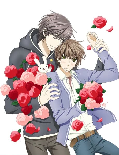 Sekaiichi Hatsukoi 2 kapak görseli