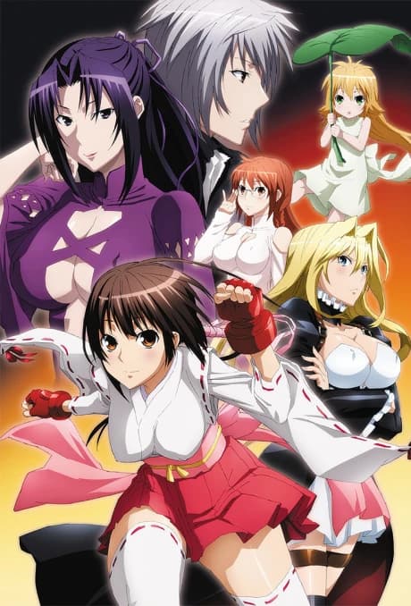 Sekirei Pure Engagement kapak görseli