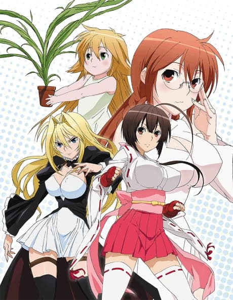 Sekirei kapak görseli