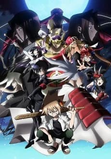 Shaman King Flowers kapak görseli