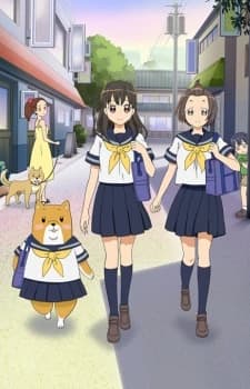 Shibainuko San kapak görseli