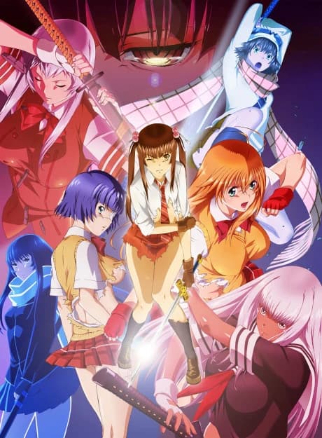 Shin Ikkitousen kapak görseli