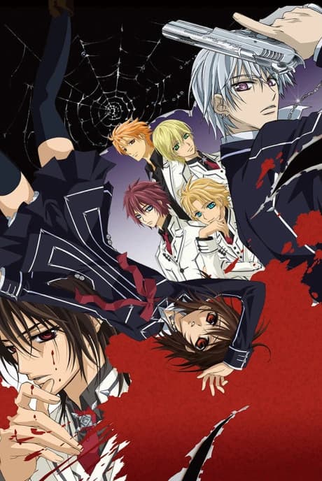 Vampire Knight kapak görseli