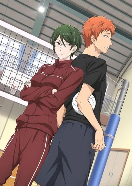 Wotaku Ni Koi Wa Muzukashii Ova kapak görseli