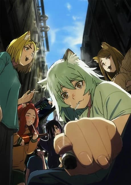 Yani Neko kapak görseli